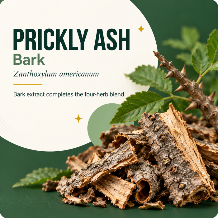 Photorealistic generated botanical artwork of prickly ash showing the plant part in Vexali's four-herb blend.