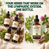 FOUR HERBS THAT WORK ON THE LYMPHATIC SYSTEM. ONE BOTTLE.